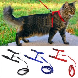 Cat Harness